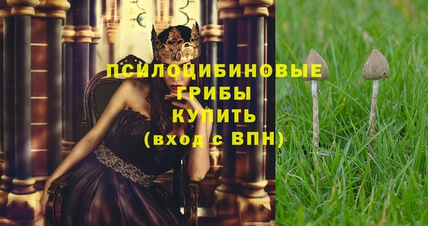 а пвп мука Новодвинск