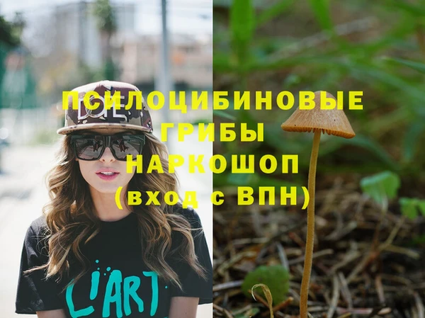 скорость Новокубанск