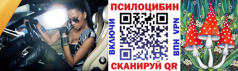 Галлюциногенные грибы прущие грибы  Ростов 